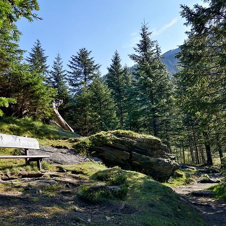 Ferienwohnung Innerhofer Hollersbach im Pinzgau Eksteriør bilde