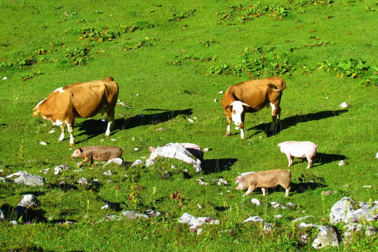 Ferienwohnung Innerhofer Hollersbach im Pinzgau Eksteriør bilde