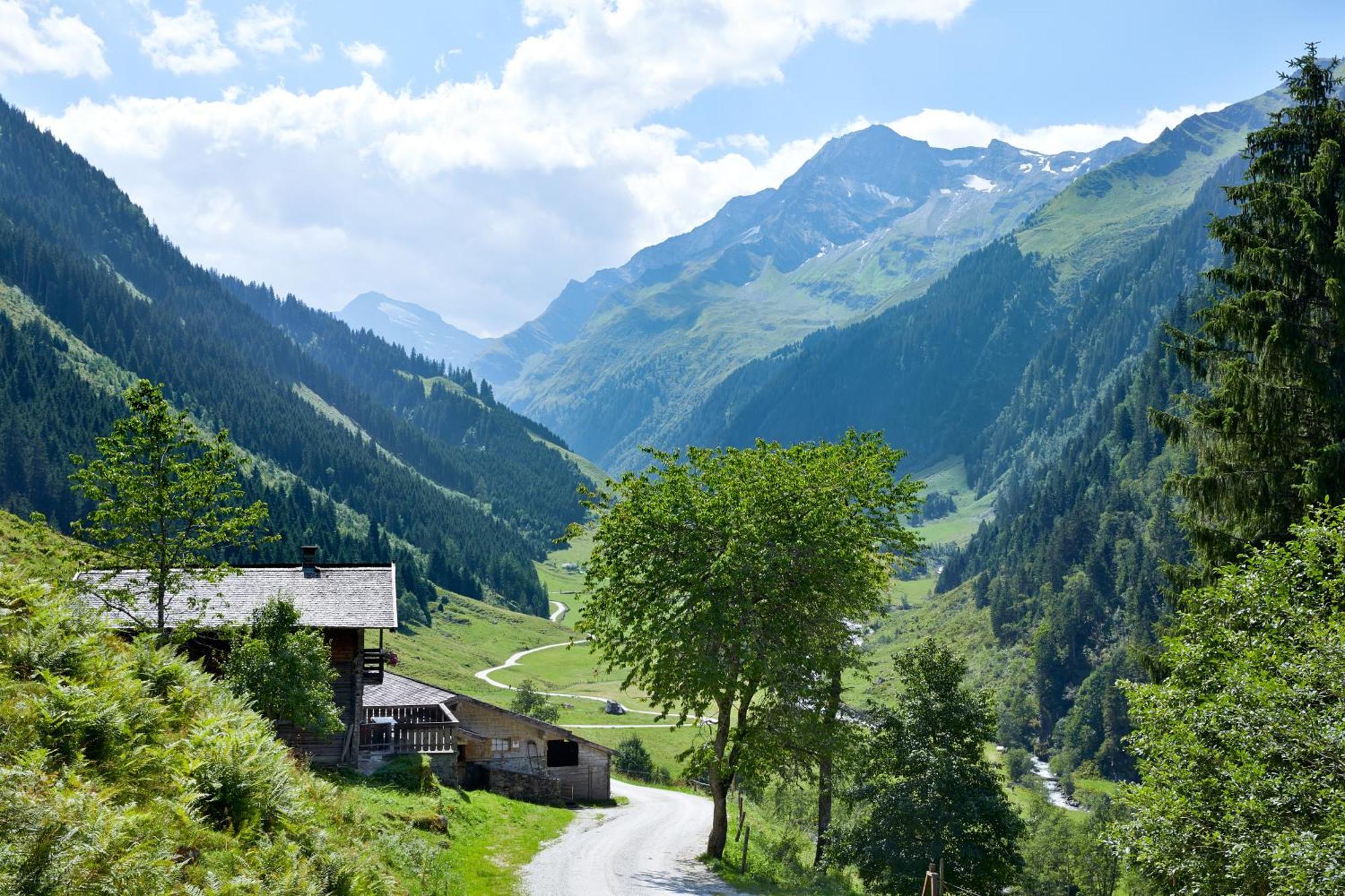 Ferienwohnung Innerhofer Hollersbach im Pinzgau Eksteriør bilde